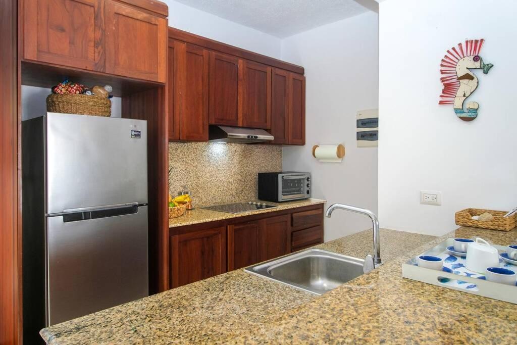 Palmeraie Terrenas Beach Apartamento 拉斯特拉纳斯 外观 照片