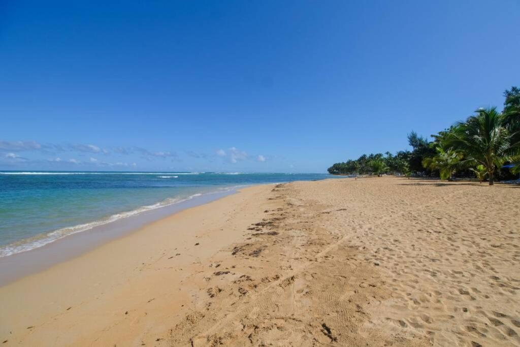 Palmeraie Terrenas Beach Apartamento 拉斯特拉纳斯 外观 照片